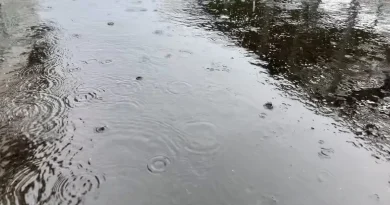 Vigilance jaune : fortes pluies en Est et vents violents en Sud jusqu'à 12h