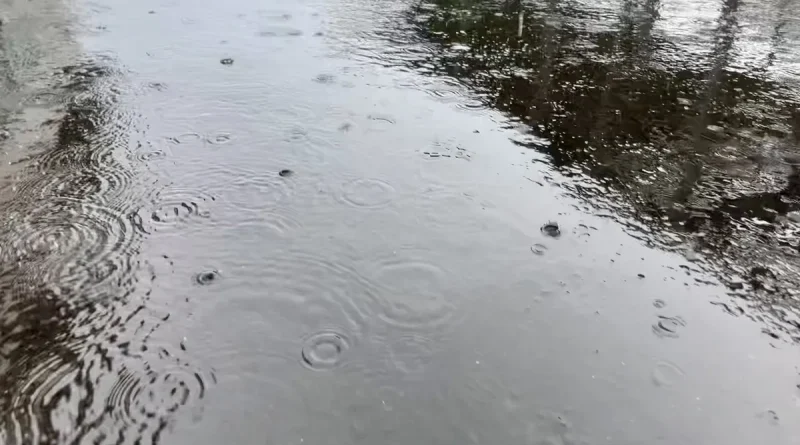 Vigilance jaune : fortes pluies en Est et vents violents en Sud jusqu'à 12h