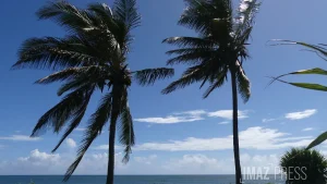 Vigilance jaune : vents forts attendus dans le Sud et le Sud-Est ce dimanche de 11h à 19h