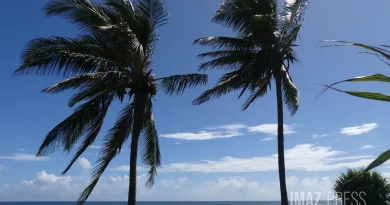 Vigilance jaune : vents forts attendus dans le Sud et le Sud-Est ce dimanche de 11h à 19h