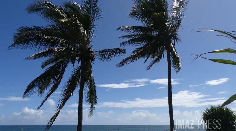 Vigilance jaune : vents forts attendus dans le Sud et le Sud-Est ce dimanche de 11h à 19h