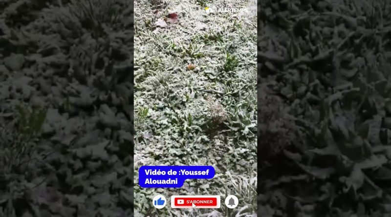 Villeneuve-d’Ascq sous la neige : scènes étonnantes ce matin !