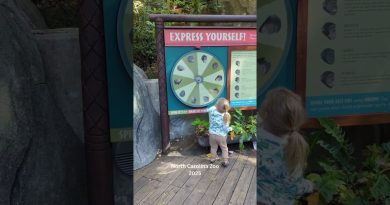 Visite Privée en Famille au Zoo de Caroline du Nord 2025