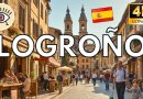 Visite à pied de Logroño : histoire et culture en 4K