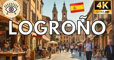 Visite à pied de Logroño : histoire et culture en 4K