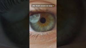 Votre ADN révèle une espèce jamais officiellement reconnue 👁️