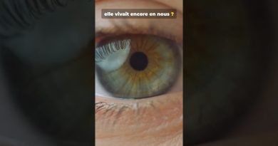 Votre ADN révèle une espèce jamais officiellement reconnue 👁️