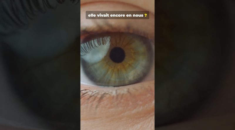 Votre ADN révèle une espèce jamais officiellement reconnue 👁️