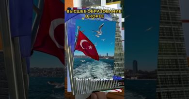 Vous pensez qu'obtenir un grant en Corée est impossible ?