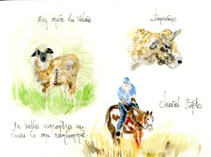 Novembre et décembre bien pauvres dans mon carnet de voyage.