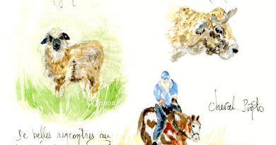 Novembre et décembre bien pauvres dans mon carnet de voyage.