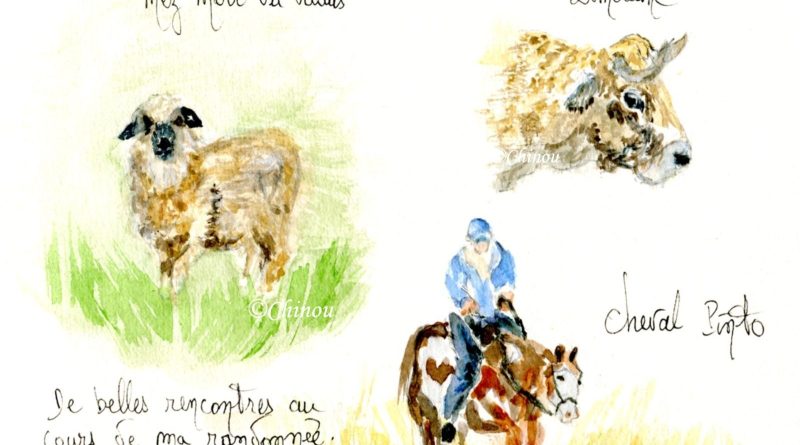 Novembre et décembre bien pauvres dans mon carnet de voyage.