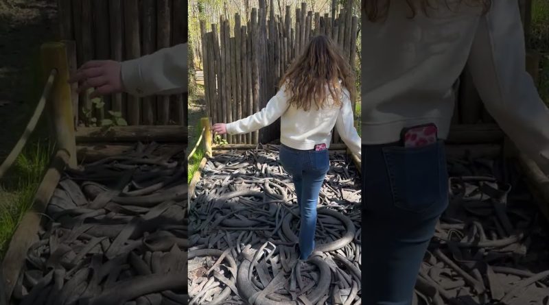 Week-end entre amies au Domaine Le Bois aux Daims !