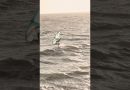 Wing Foiling au Vent dans des Vagues Puissantes