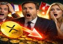⚠️ XRP chute sous 1 euro : les investisseurs en émoi !