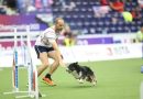 Yoann Bages, en agility avec sa chienne Plexie, coup de coeur sport 2025 - ICI