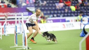 Yoann Bages, en agility avec sa chienne Plexie, coup de coeur sport 2025 - ICI