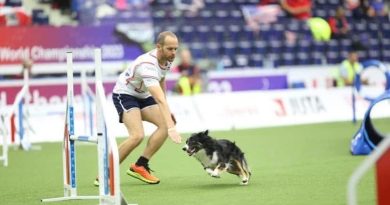 Yoann Bages, en agility avec sa chienne Plexie, coup de coeur sport 2025 - ICI