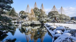 Yukizuri : une technique esthétique de préservation des arbres en hiver