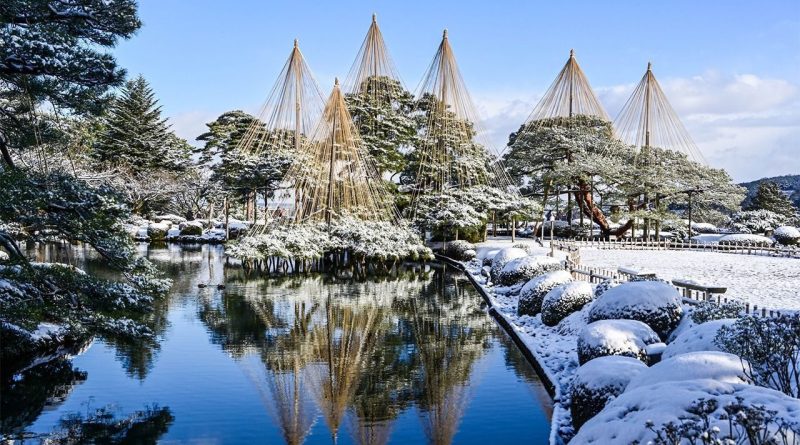 Yukizuri : une technique esthétique de préservation des arbres en hiver