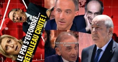 Zemmour, Immigration et Algérie : Un Discours à Risque pour la France