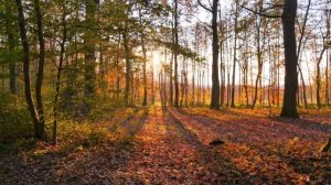 Namur et Liège : marches fédérales prévues ce week-end du 27 et 28 décembre