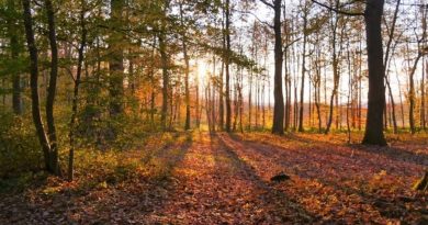Namur et Liège : marches fédérales prévues ce week-end du 27 et 28 décembre