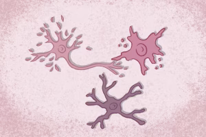 Mort des neurones : ce qui se passe lors d’une maladie neurodégénérative