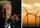 États-Unis : l'administration Trump met fin à tous les projets d'éolien en mer