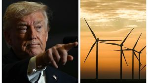 États-Unis : l'administration Trump met fin à tous les projets d'éolien en mer