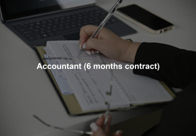 Accountant (6 months contract)