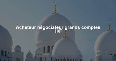 Acheteur négociateur grands comptes H/F