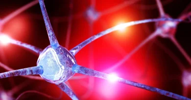 Des scientifiques découvrent une baisse d'un nutriment cérébral caché pouvant alimenter l'anxiété.