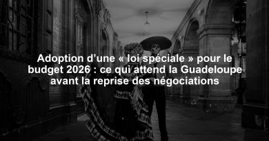 Adoption d’une « loi spéciale » pour le budget 2026 : ce qui attend la Guadeloupe avant la reprise des négociations