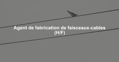 Agent de fabrication de faisceaux-cables (H/F)