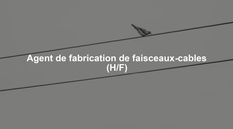 Agent de fabrication de faisceaux-cables (H/F)