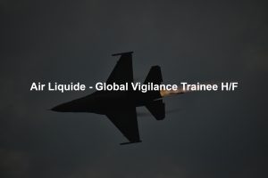 Air Liquide - Global Vigilance Trainee H/F