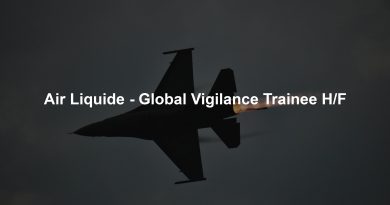 Air Liquide - Global Vigilance Trainee H/F