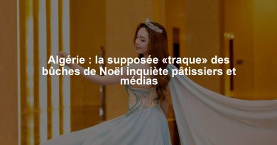 Algérie : la supposée «traque» des bûches de Noël inquiète pâtissiers et médias