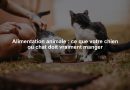 Alimentation animale : ce que votre chien ou chat doit vraiment manger