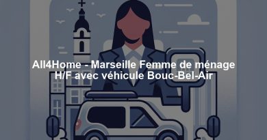 All4Home - Marseille Femme de ménage H/F avec véhicule Bouc-Bel-Air