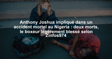 Anthony Joshua impliqué dans un accident mortel au Nigeria : deux morts, le boxeur légèrement blessé selon Zinfos974
