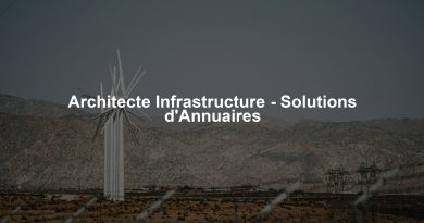 Architecte Infrastructure - Solutions d'Annuaires