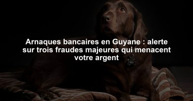 Arnaques bancaires en Guyane : alerte sur trois fraudes majeures qui menacent votre argent