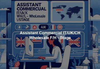 Assistant Commercial IT/UK/CH Wholesale F/H - Stage