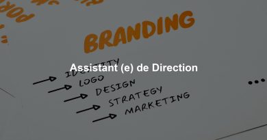 Assistant (e) de Direction