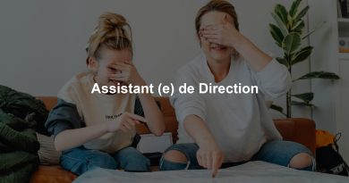 Assistant (e) de Direction