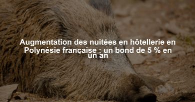 Augmentation des nuitées en hôtellerie en Polynésie française : un bond de 5 % en un an