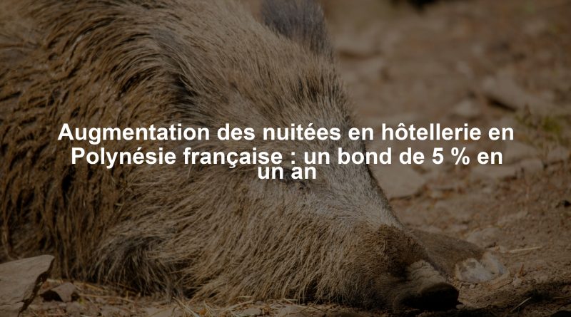 Augmentation des nuitées en hôtellerie en Polynésie française : un bond de 5 % en un an