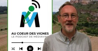 Tour de France des Crémants : la Bourgogne, Pierre du Couëdic, la formidable histoire de la bulle bourguignonne (Extrait) cover